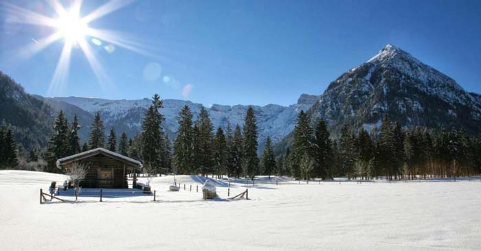 Umgebung Kulinarik Hotel Alpin