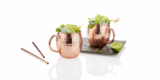 2x Ernesto Moscow Mule Becher aus Edelstahl mit Kupferfinish + 2x Trinkhalme für 9,99€ + 4,95€ Versand